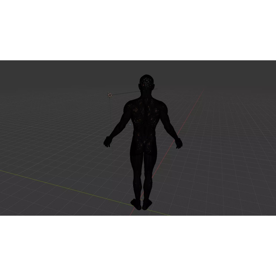 Human Muscular System 3D Model – Rigged PBR Asset for Medical Visualization - View 62