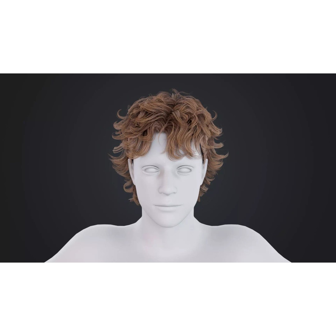 Realistic Male Hair 3D Model – Low Poly PBR Asset, FBX, OBJ - View 2