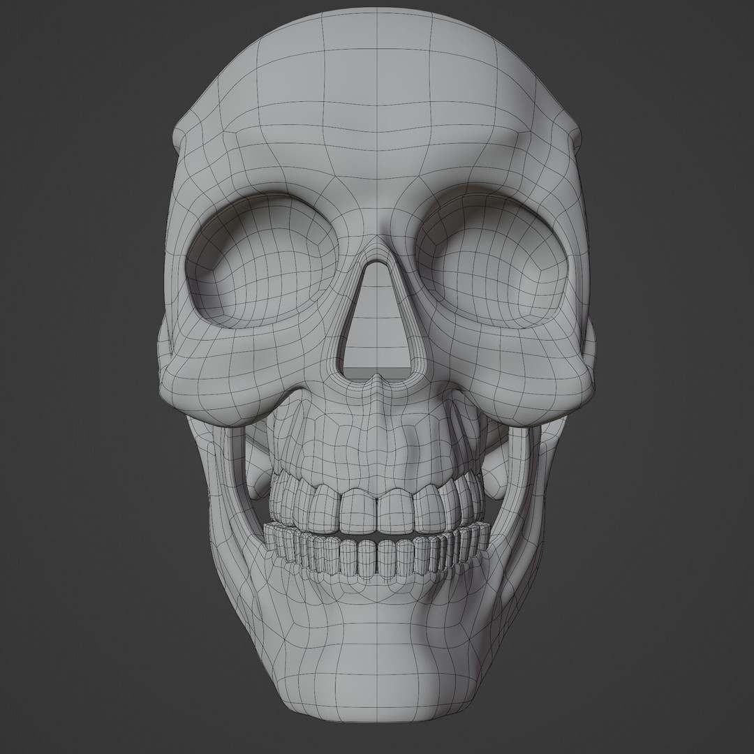 Human Skull 3D Model – Highly Detailed PBR Asset for Blender