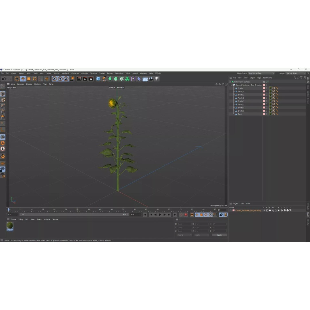 Curved Sunflower Bud Growing 3D Model – High Poly PBR Asset, FBX