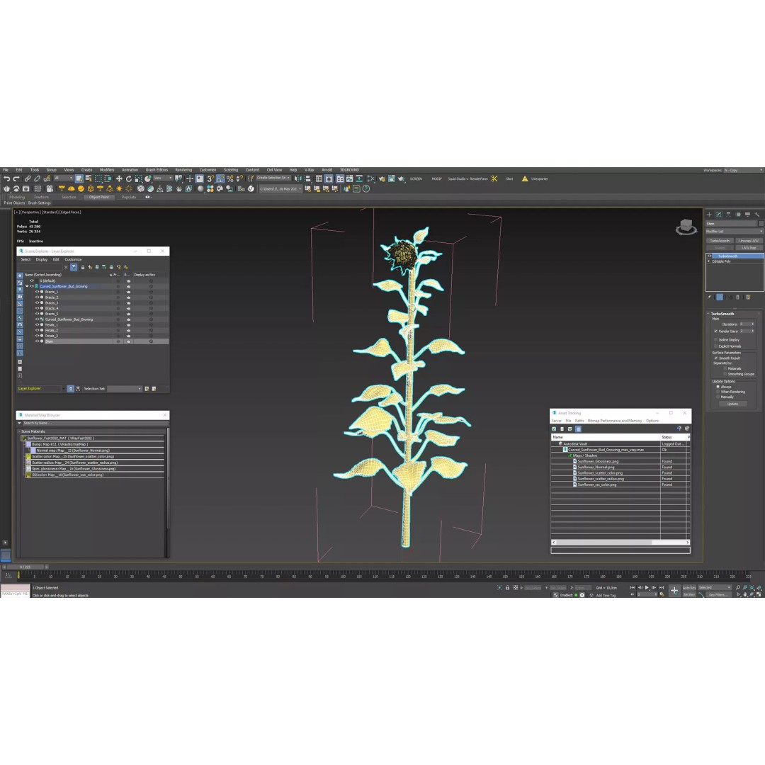 Curved Sunflower Bud Growing 3D Model – High Poly PBR Asset, FBX - View 14