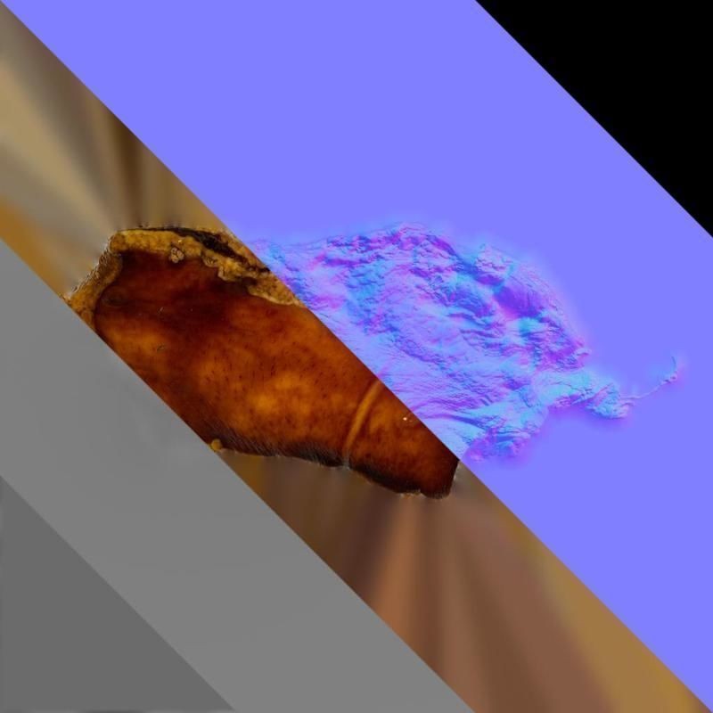 Bacon 3D Model – PBR Texture, 1K/2K/4K Resolution
