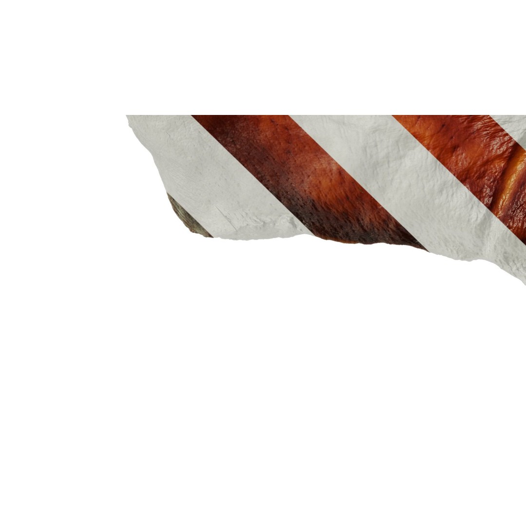 Bacon 3D Model – PBR Texture, 1K/2K/4K Resolution - View 8