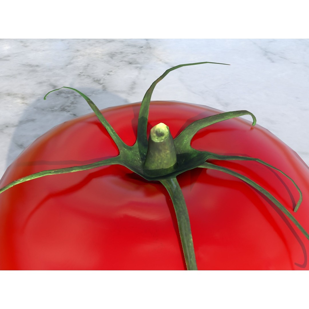 Tomato 3D Model – Low Poly Vegetable Asset, PBR Textures, FBX - View 12
