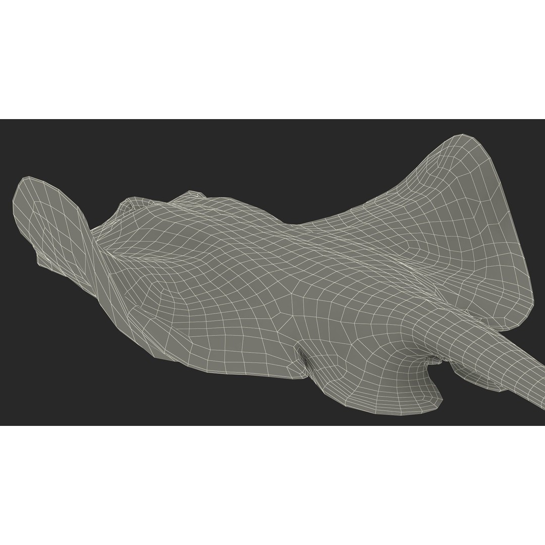 White Stingray 3D Model – Realistic PBR Asset for Marine Projects