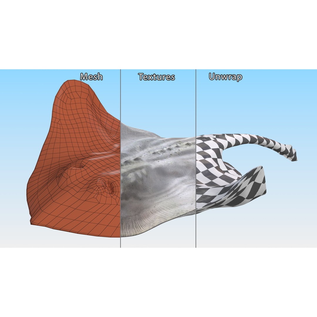White Stingray 3D Model – Realistic PBR Asset for Marine Projects - View 14