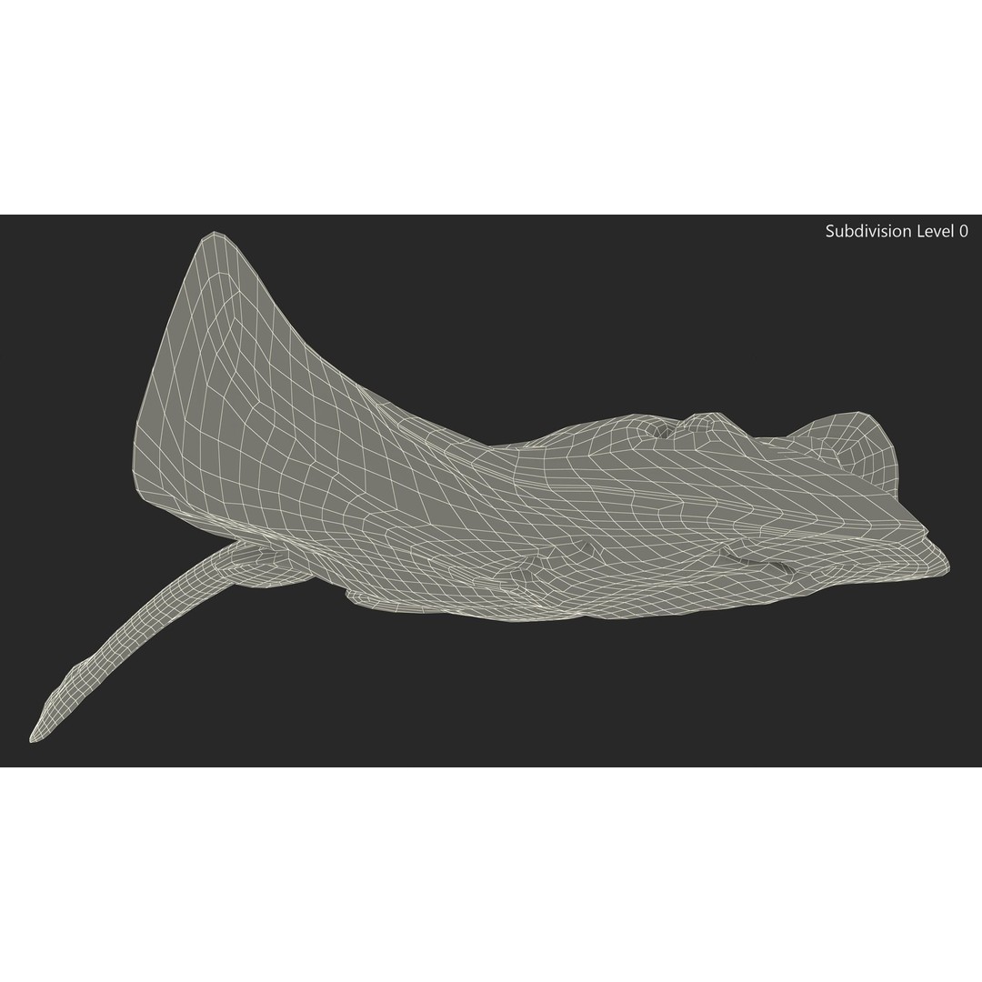 White Stingray 3D Model – Realistic PBR Asset for Marine Projects - View 15