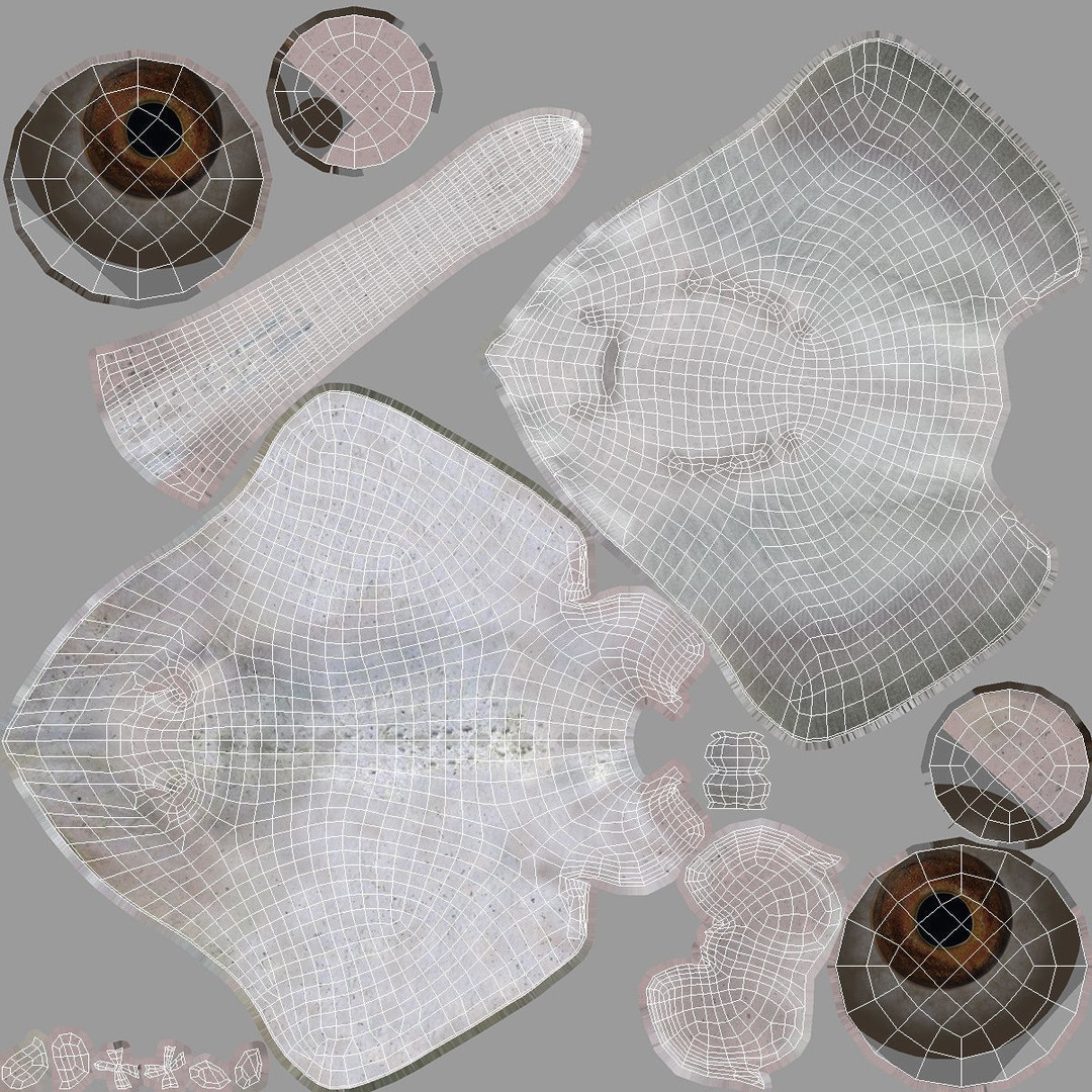 White Stingray 3D Model – Realistic PBR Asset for Marine Projects - View 17