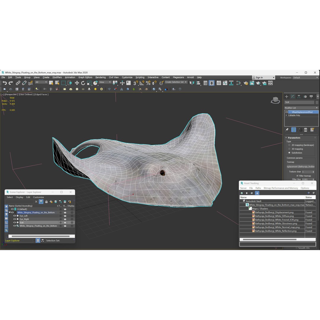 White Stingray 3D Model – Realistic PBR Asset for Marine Projects - View 19