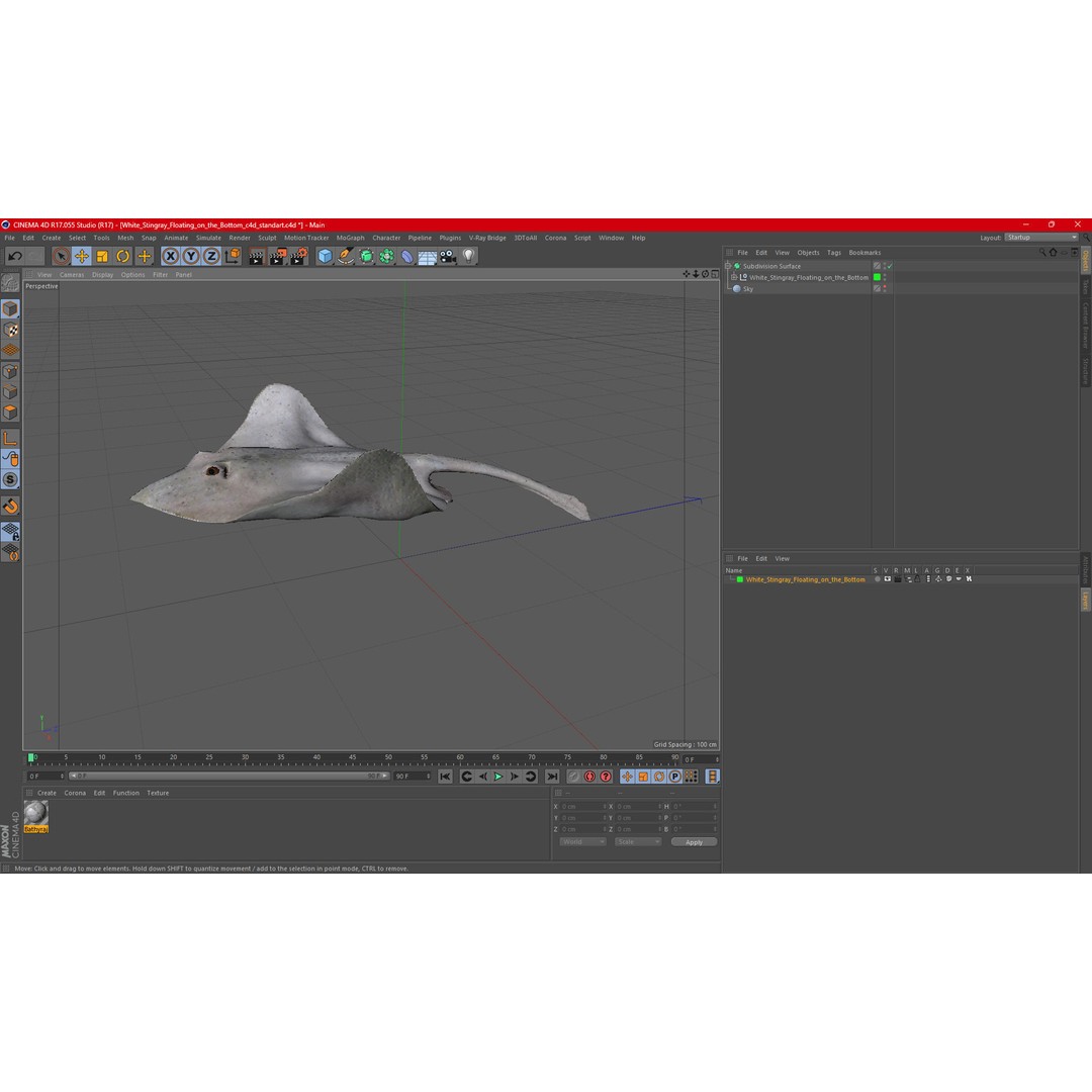 White Stingray 3D Model – Realistic PBR Asset for Marine Projects - View 20