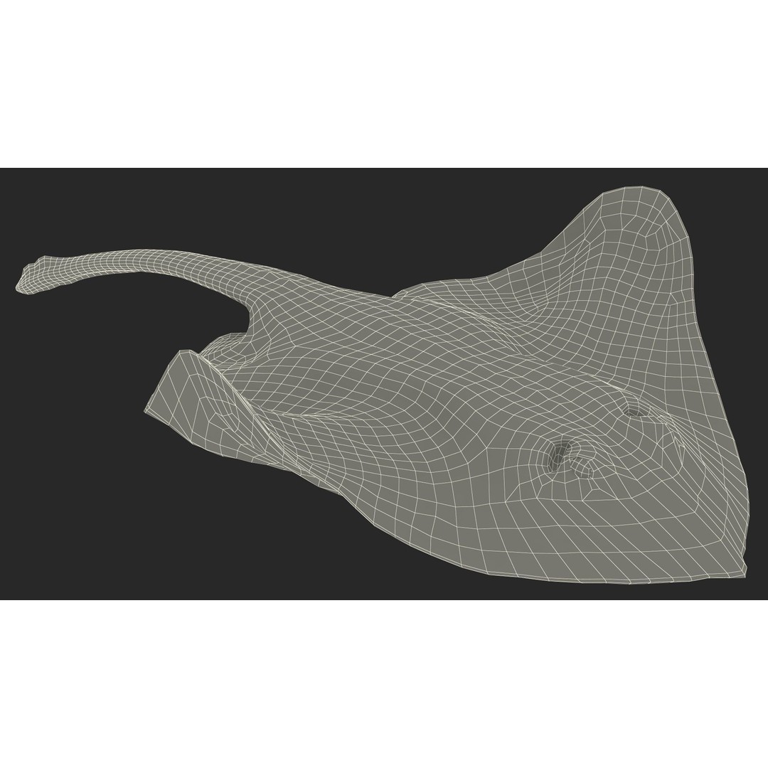 White Stingray 3D Model – Realistic PBR Asset for Marine Projects - View 24