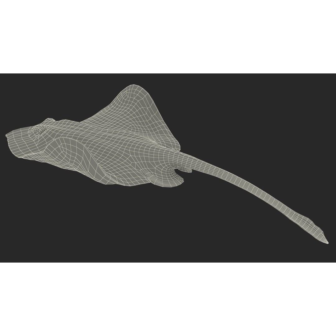 White Stingray 3D Model – Realistic PBR Asset for Marine Projects - View 25