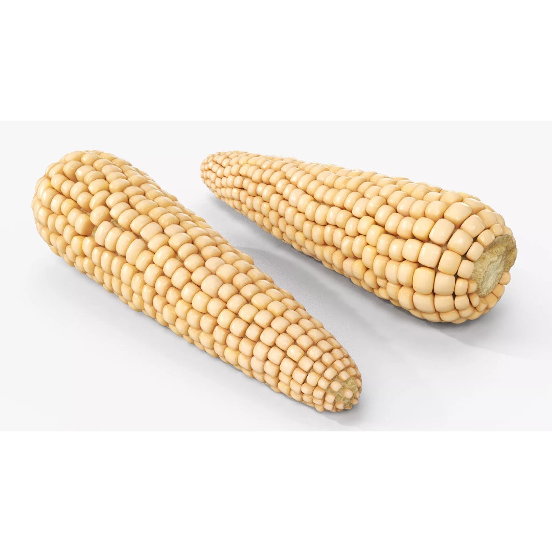 White Corn Cob Fur 3D Model – High Quality PBR Textured Asset - View 2