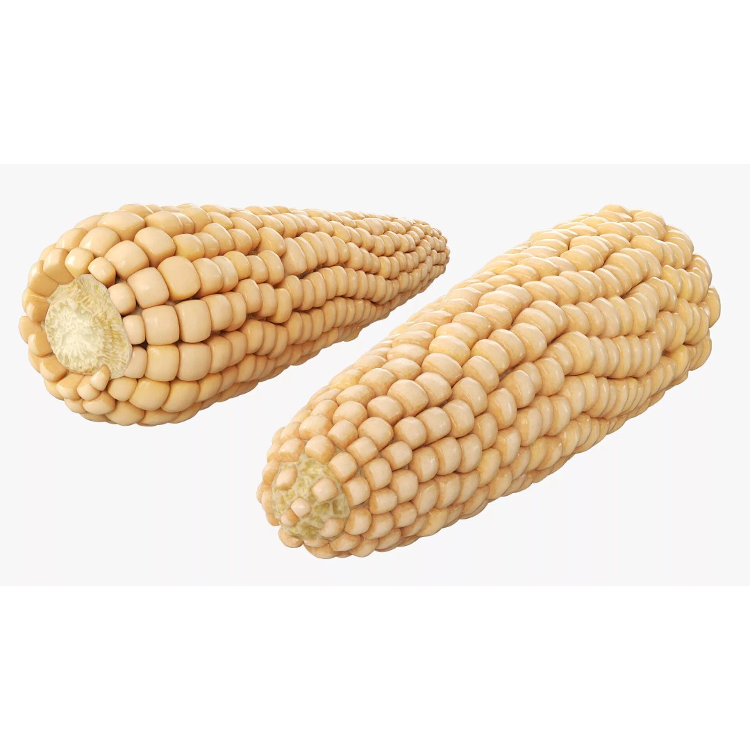 White Corn Cob Fur 3D Model – High Quality PBR Textured Asset - View 4