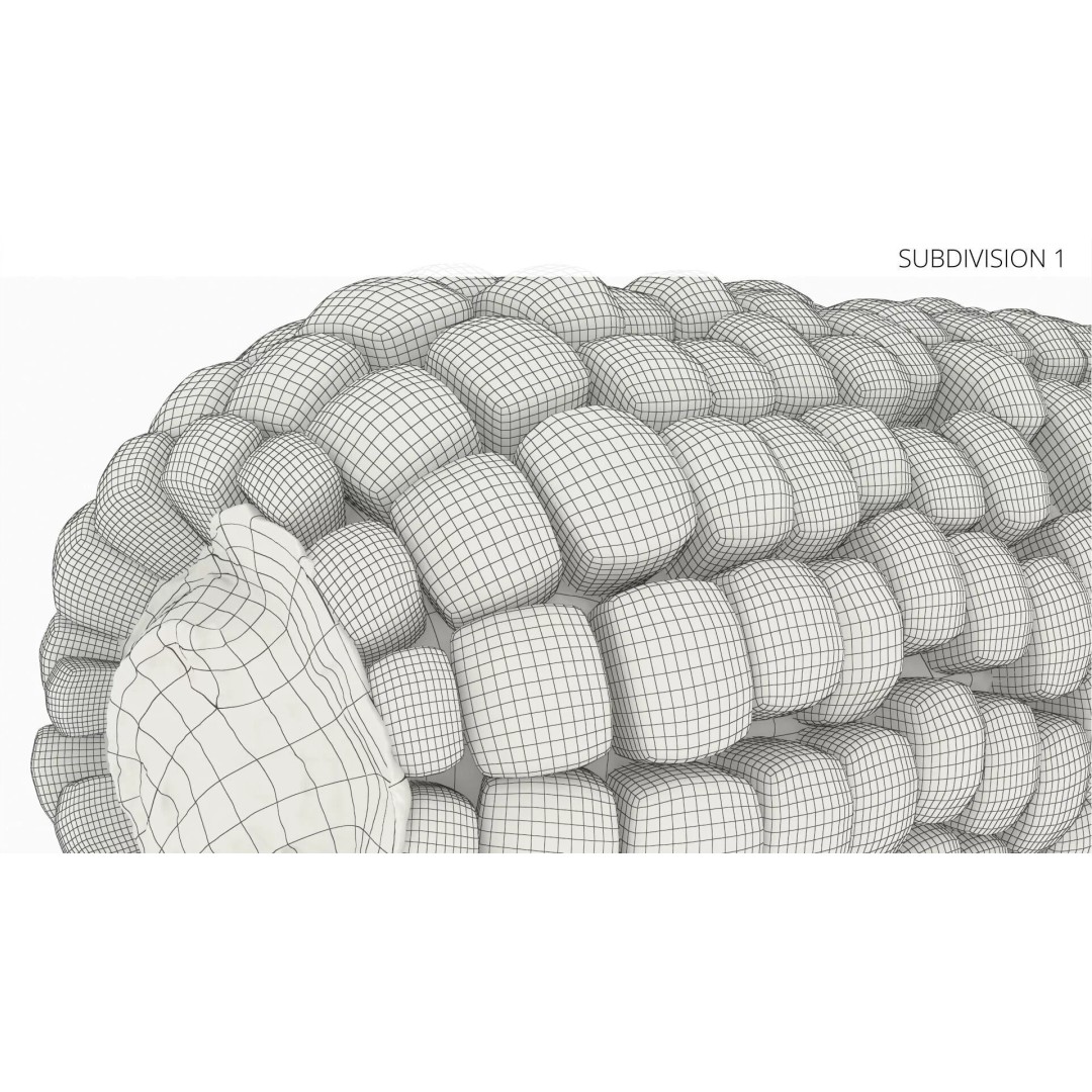 White Corn Cob Fur 3D Model – High Quality PBR Textured Asset - View 8