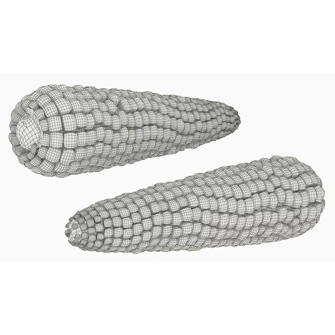 White Corn Cob Fur 3D Model – High Quality PBR Textured Asset - View 9