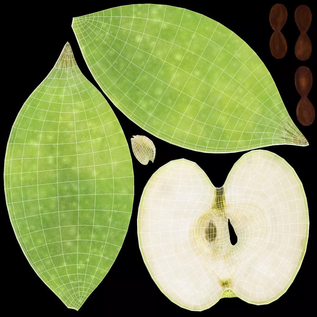 Realistic Sliced Green Apple 3D Model – High Poly PBR Asset, FBX - View 13
