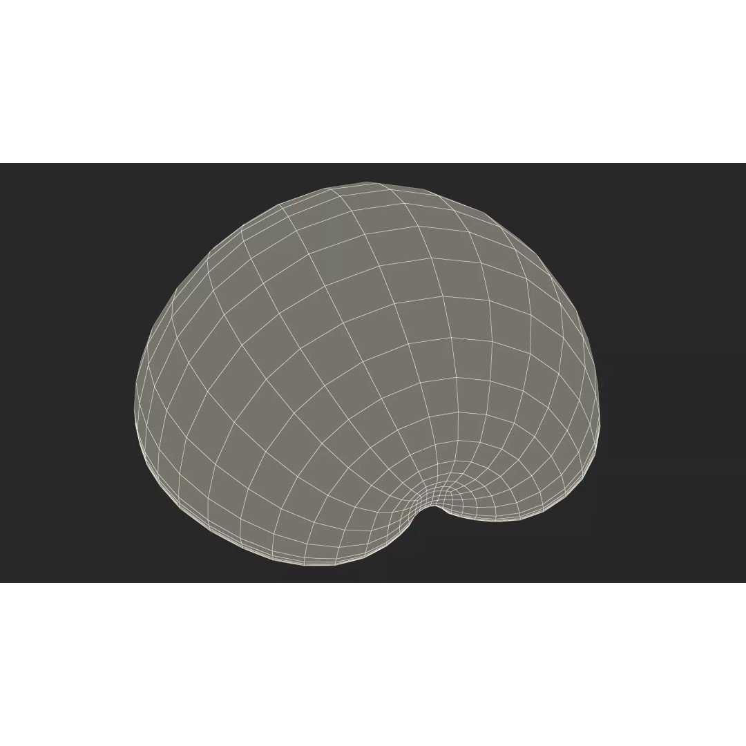 Realistic Sliced Green Apple 3D Model – High Poly PBR Asset, FBX - View 17