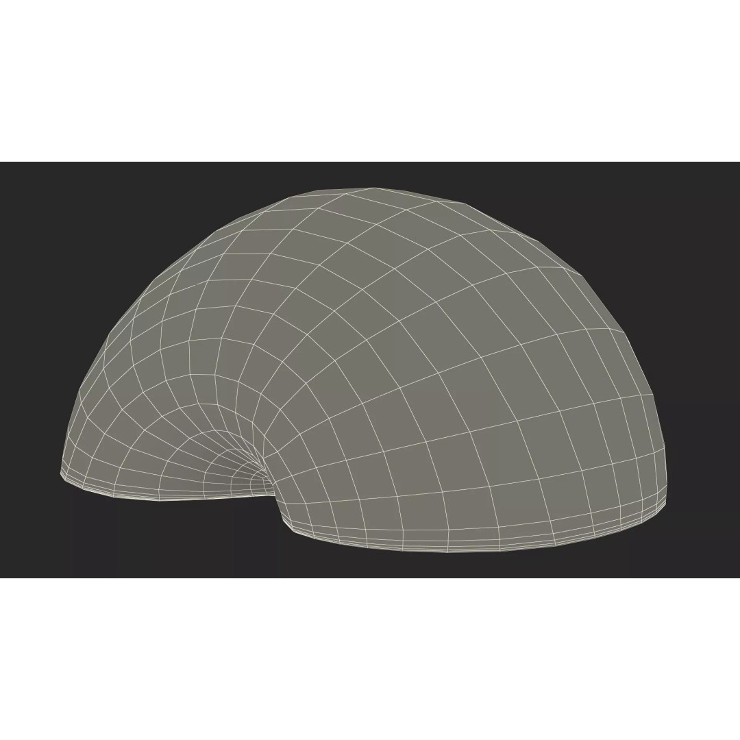 Realistic Sliced Green Apple 3D Model – High Poly PBR Asset, FBX - View 18