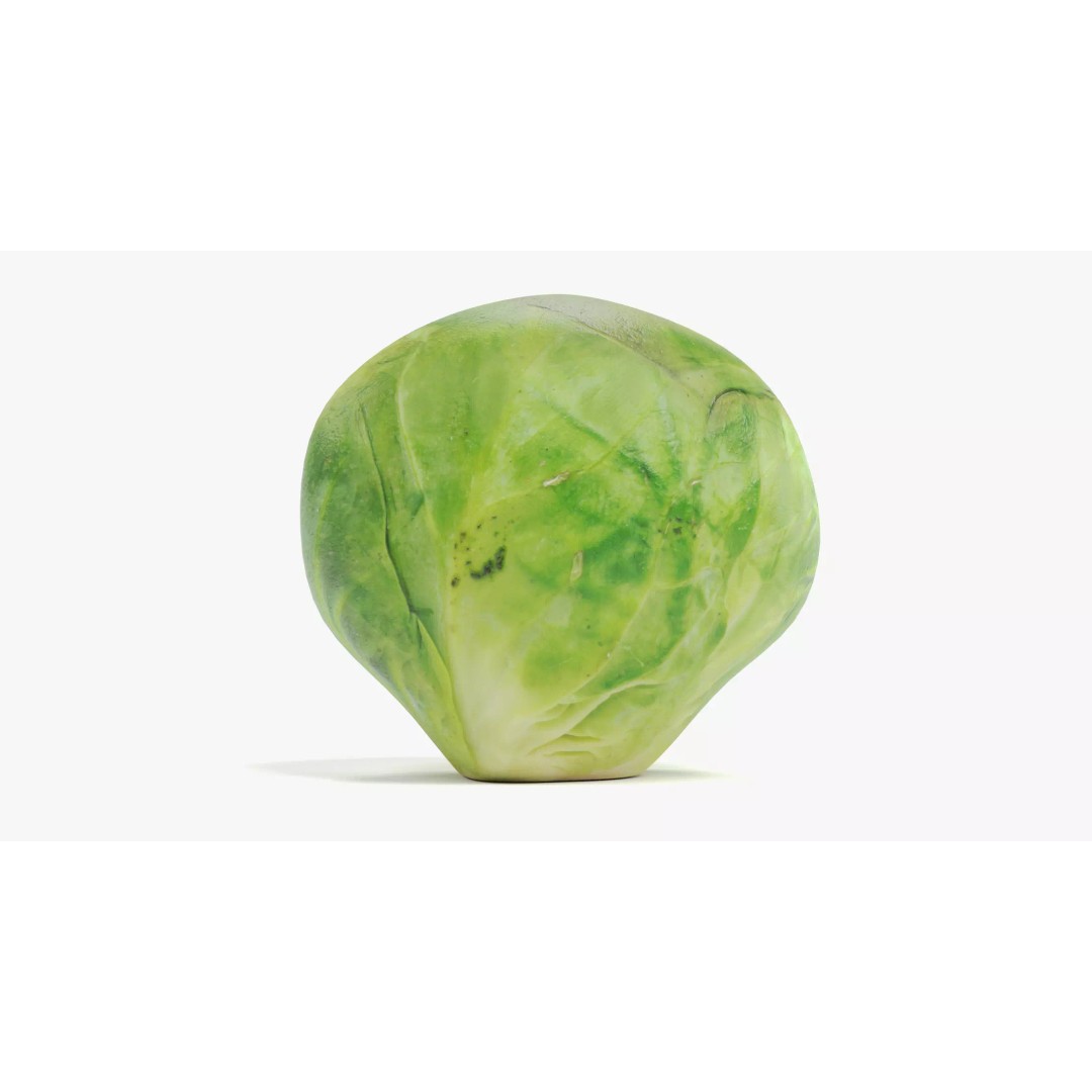Brussels Sprout 3D Model – Realistic Low-Poly Vegetable for Culinary Use