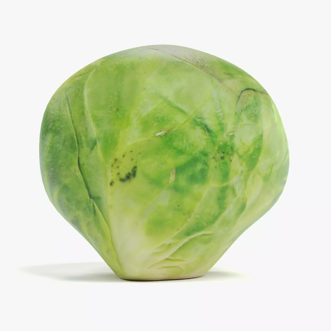 Brussels Sprout 3D Model – Realistic Low-Poly Vegetable for Culinary Use - View 13