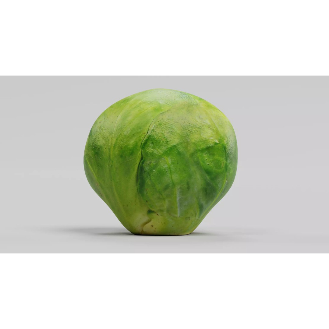 Brussels Sprout 3D Model – Realistic Low-Poly Vegetable for Culinary Use - View 2