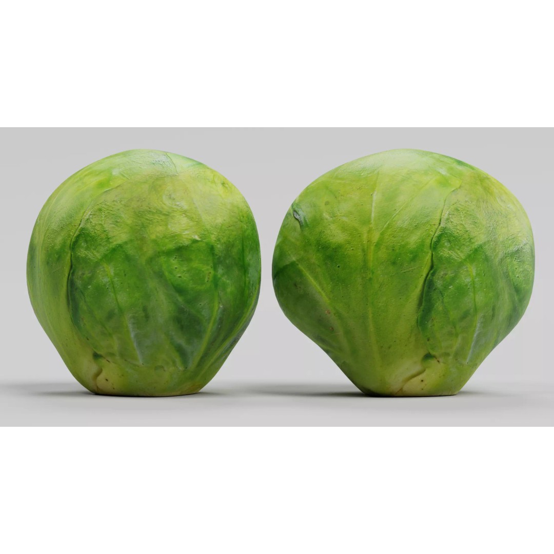 Brussels Sprout 3D Model – Realistic Low-Poly Vegetable for Culinary Use - View 3
