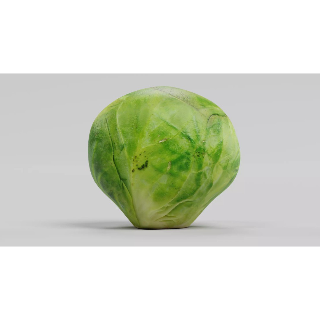 Brussels Sprout 3D Model – Realistic Low-Poly Vegetable for Culinary Use - View 4