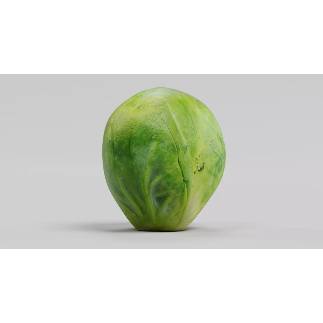 Brussels Sprout 3D Model – Realistic Low-Poly Vegetable for Culinary Use - View 5