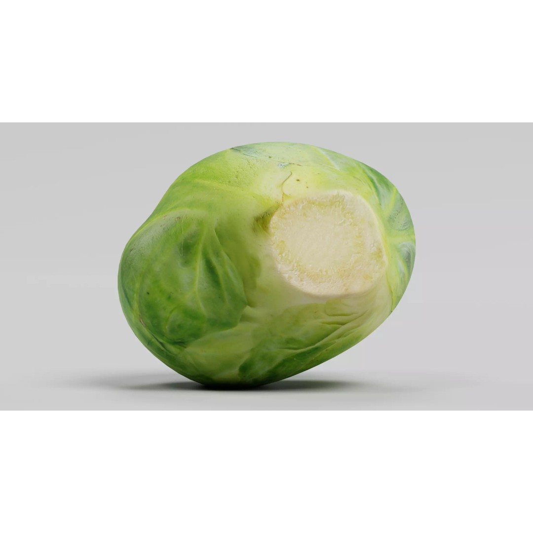 Brussels Sprout 3D Model – Realistic Low-Poly Vegetable for Culinary Use - View 6