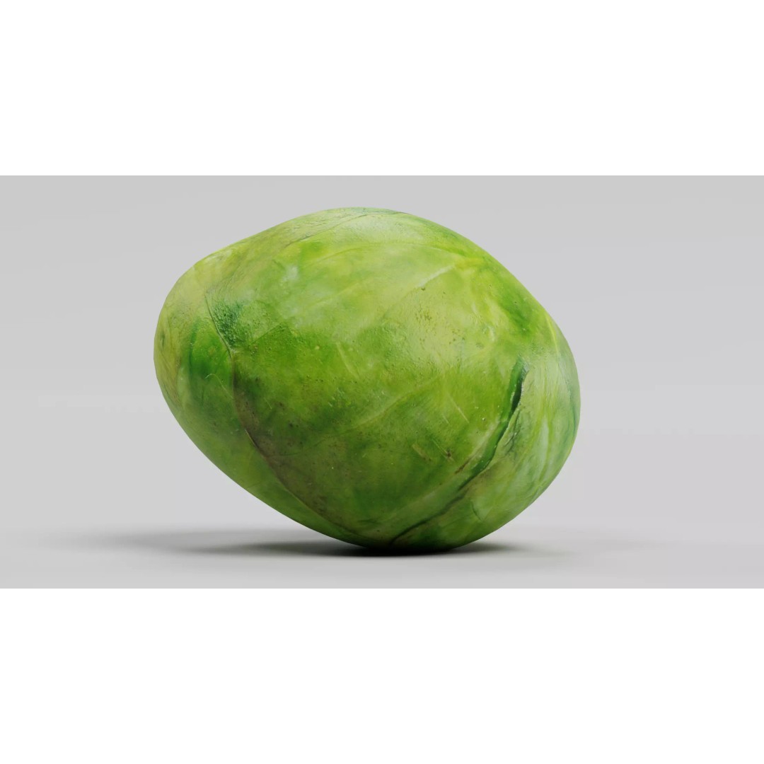 Brussels Sprout 3D Model – Realistic Low-Poly Vegetable for Culinary Use - View 7