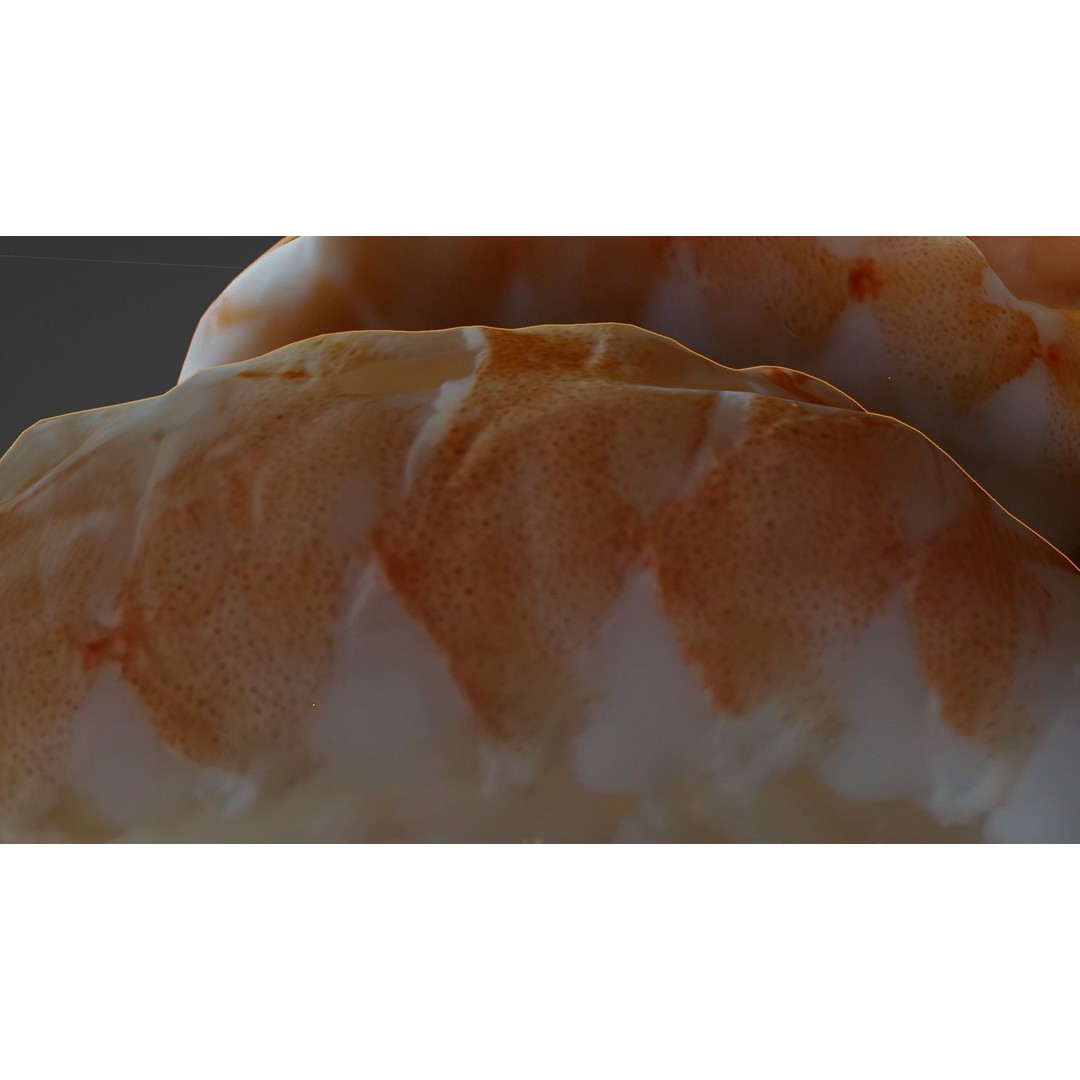 Sushi Delight 3D Model – Low Poly PBR Shrimp Nigiri, FBX - View 56