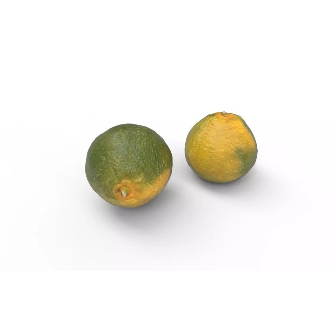 Tangerine 3D Model – Low Poly Game Asset, FBX, PBR Textures - View 2