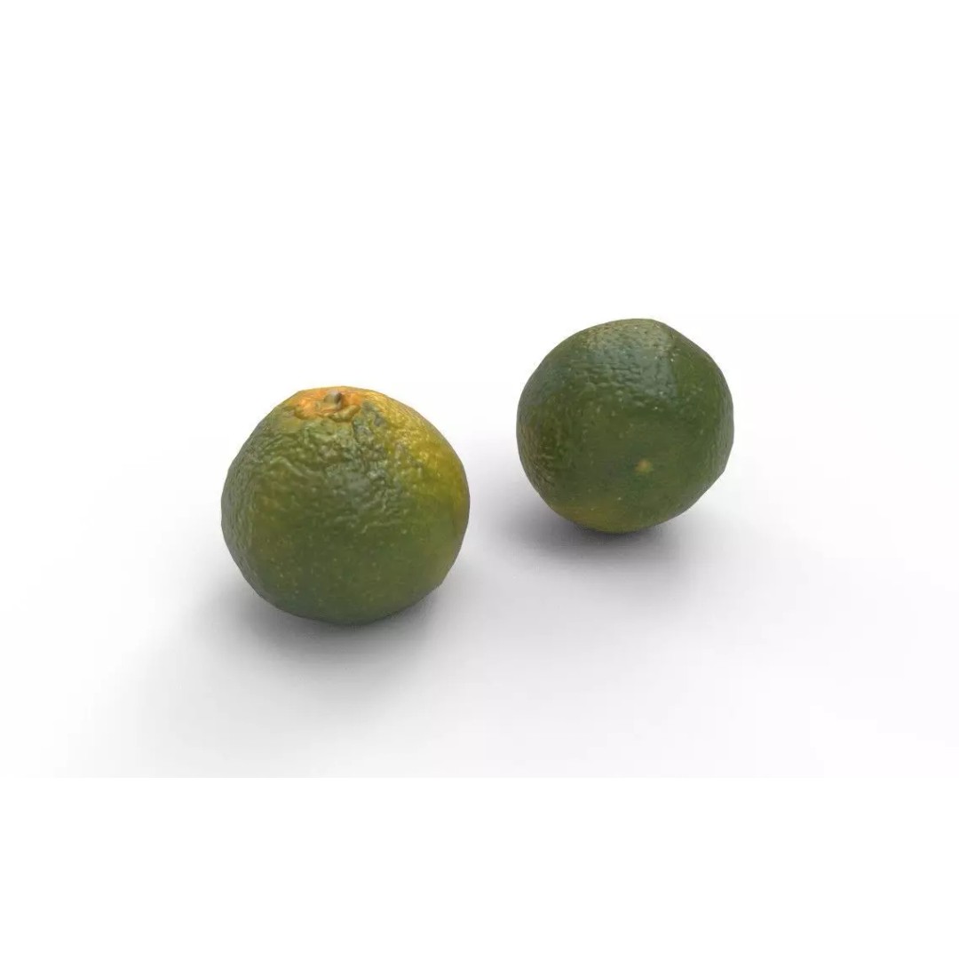 Tangerine 3D Model – Low Poly Game Asset, FBX, PBR Textures - View 6
