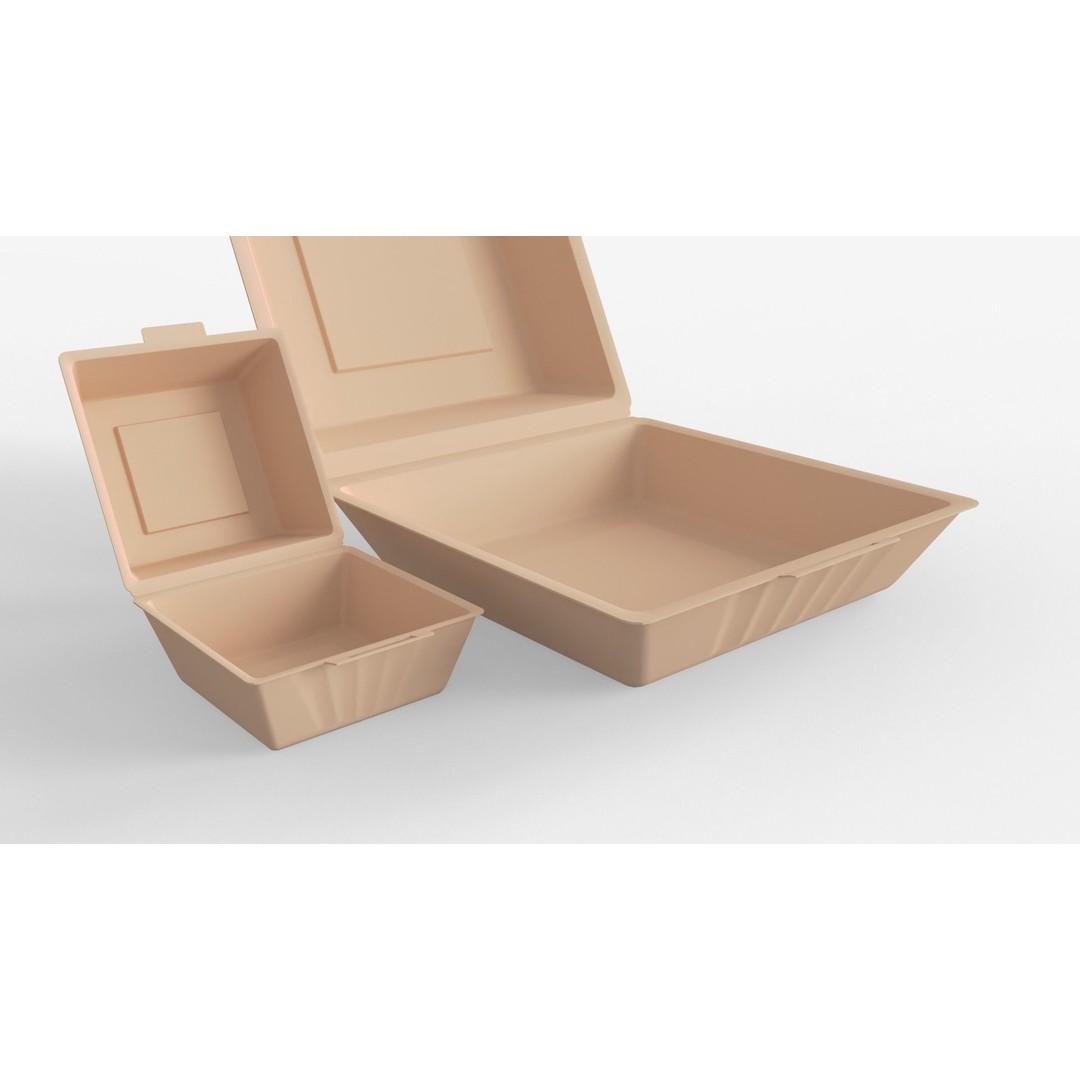 Biodegradable Food Containers 3D Model – Cardboard Box, PBR Textures, FBX - View 3