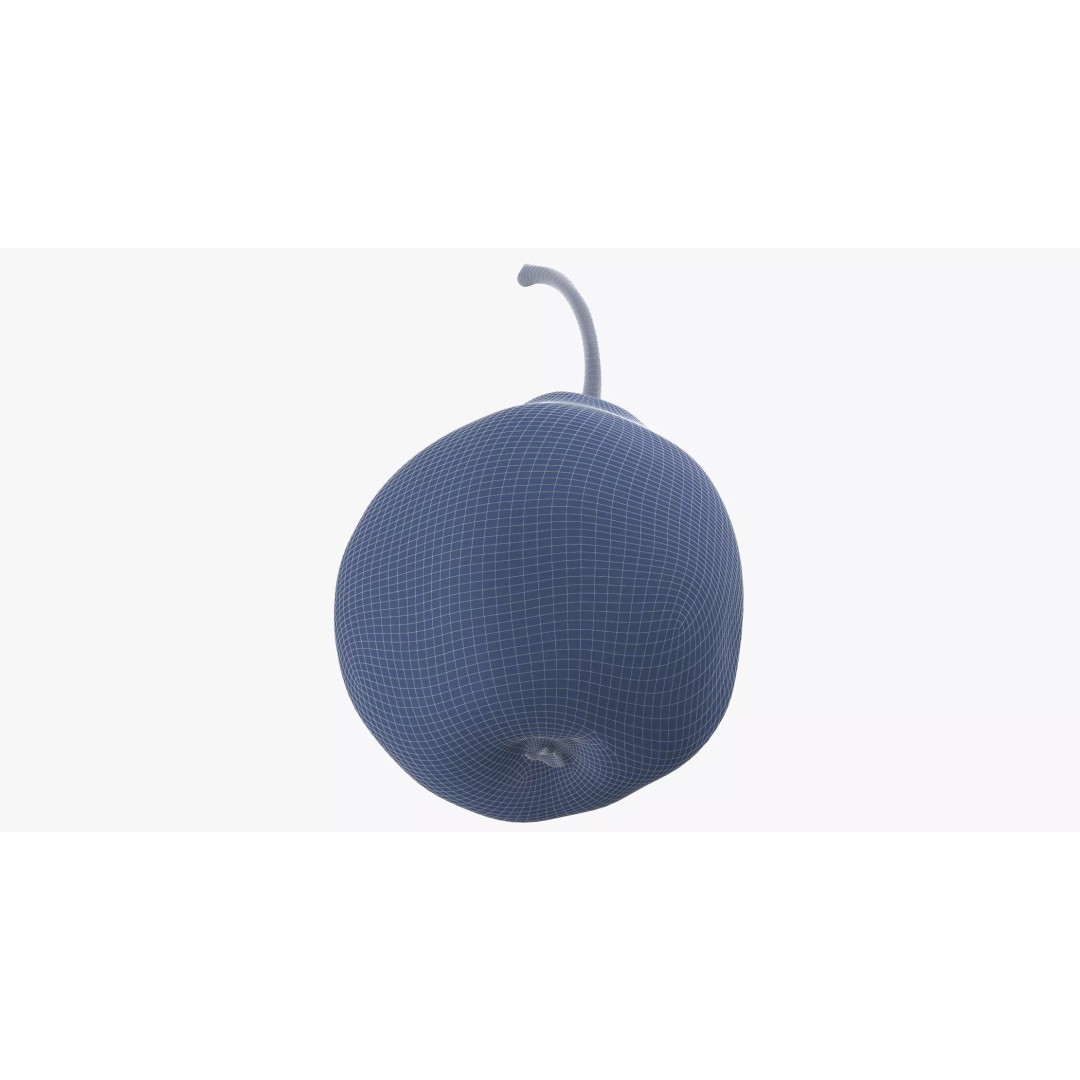 Pear 3D Model – Photorealistic Fruit Asset, OBJ, FBX, V-Ray - View 18