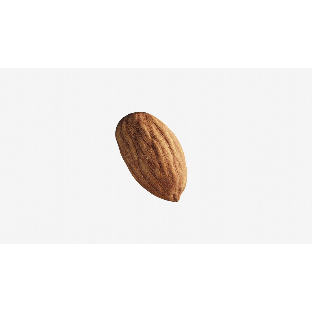 Scanned Almond Nut 3D Model – Low Poly PBR Asset, FBX - View 11