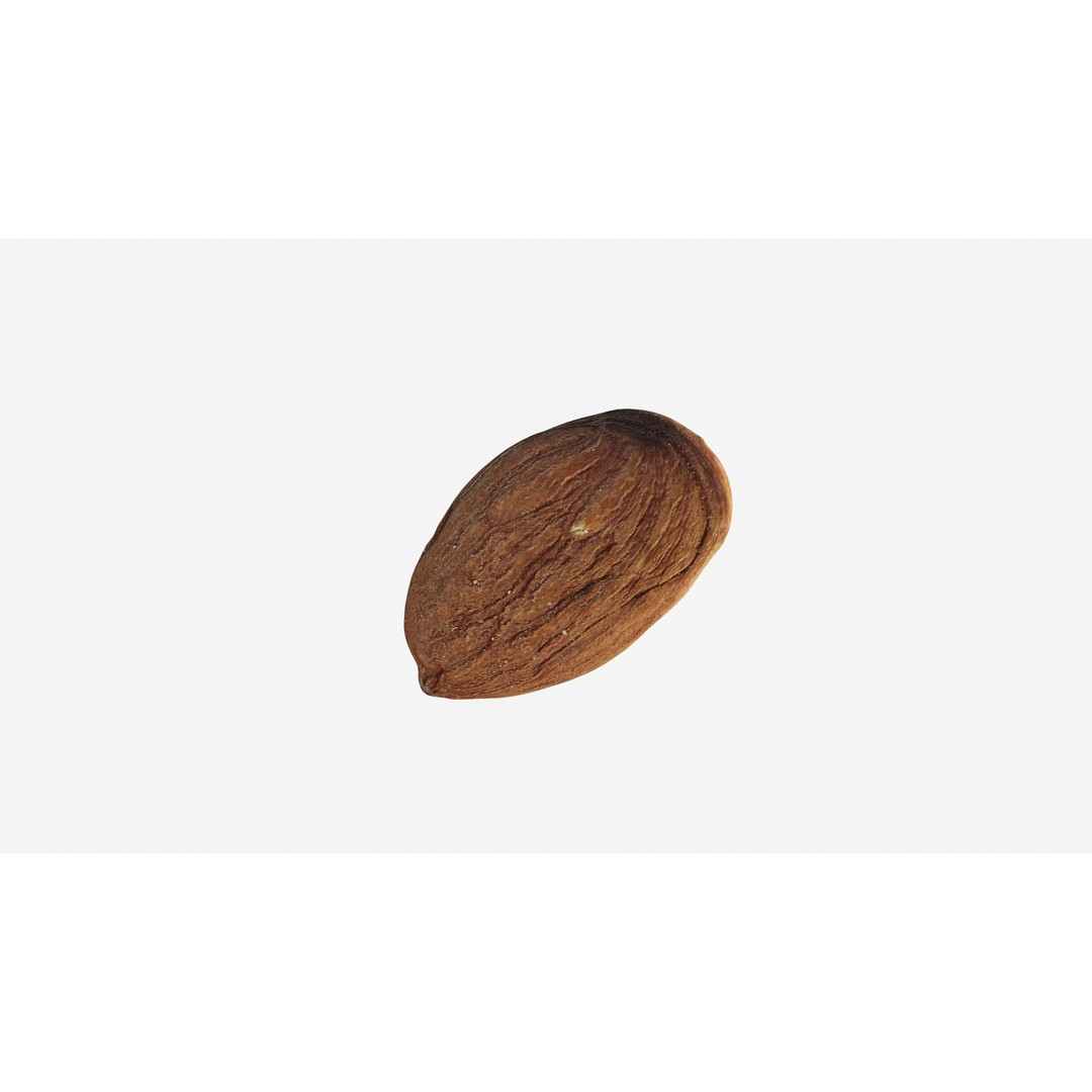 Scanned Almond Nut 3D Model – Low Poly PBR Asset, FBX - View 12