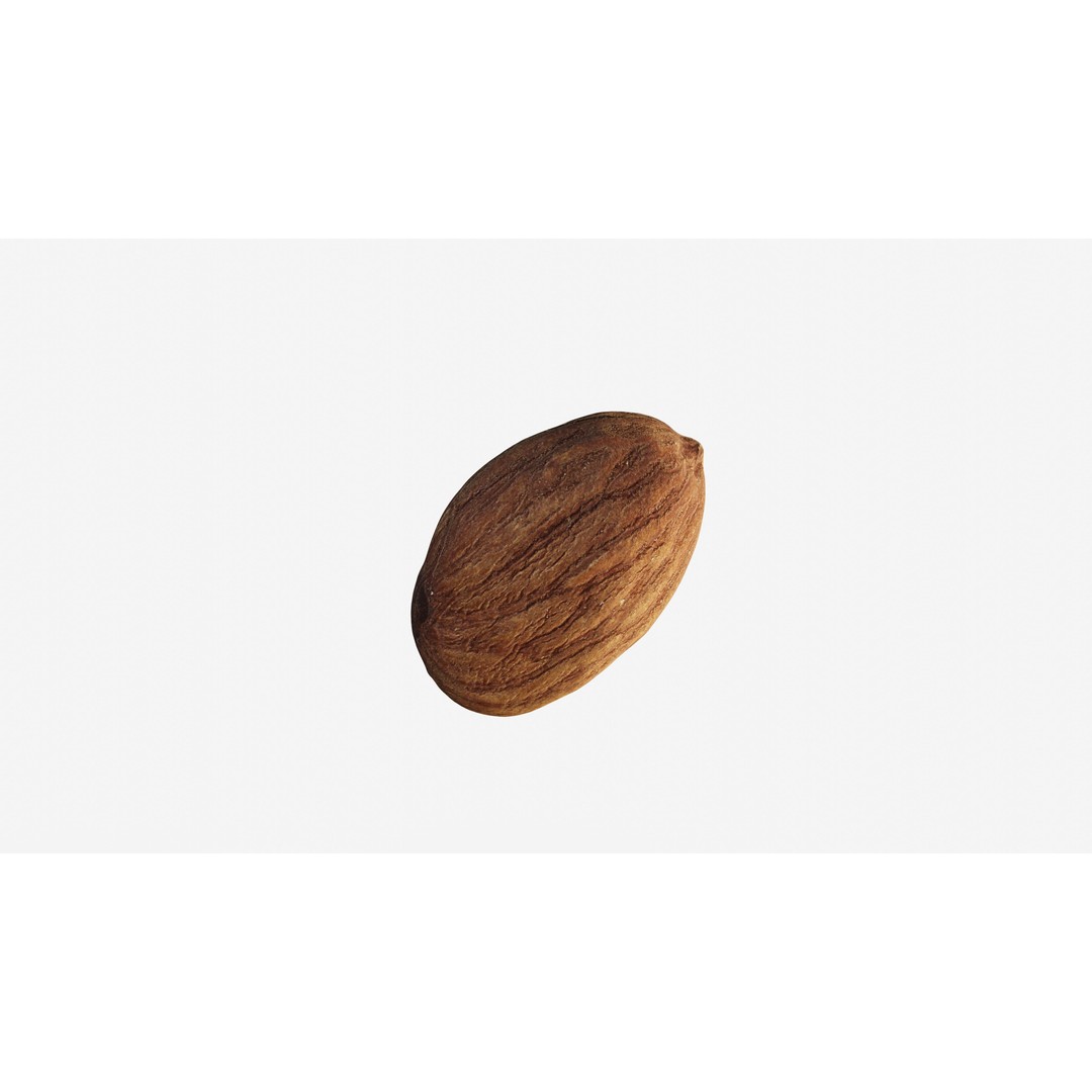 Scanned Almond Nut 3D Model – Low Poly PBR Asset, FBX - View 13
