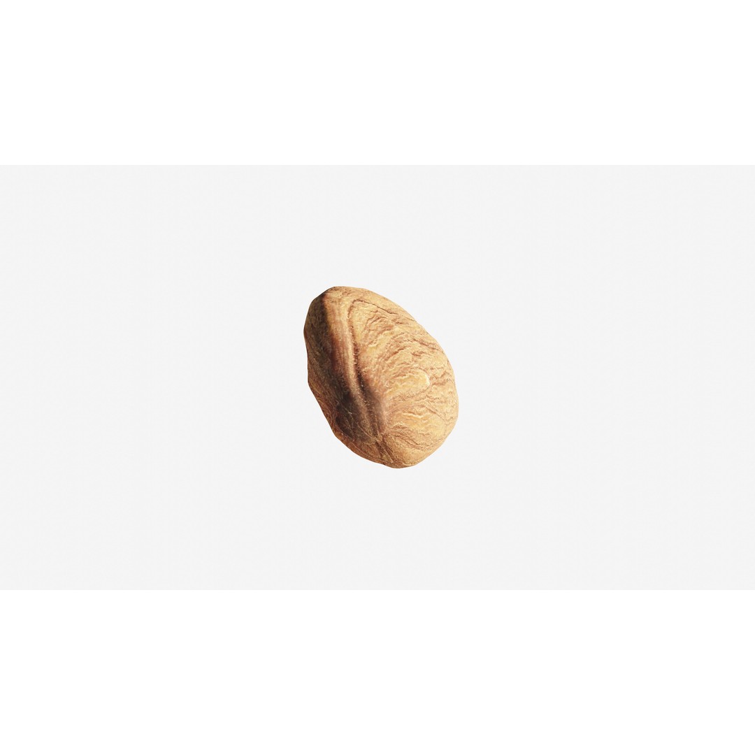 Scanned Almond Nut 3D Model – Low Poly PBR Asset, FBX - View 14