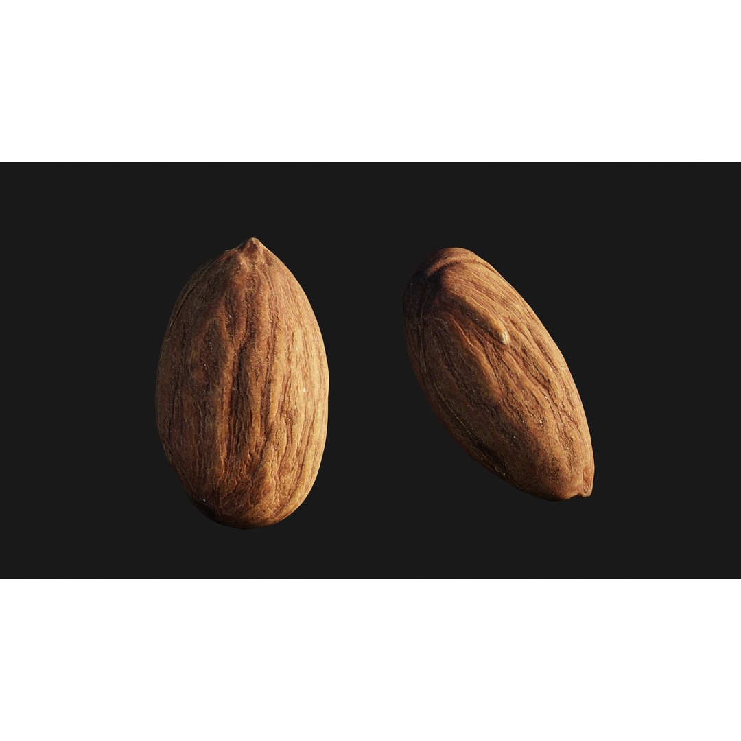 Scanned Almond Nut 3D Model – Low Poly PBR Asset, FBX - View 15