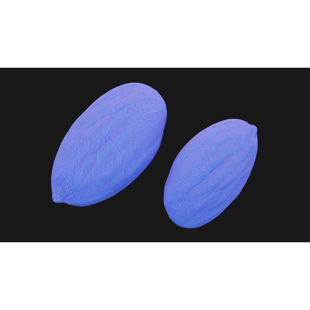 Scanned Almond Nut 3D Model – Low Poly PBR Asset, FBX - View 16