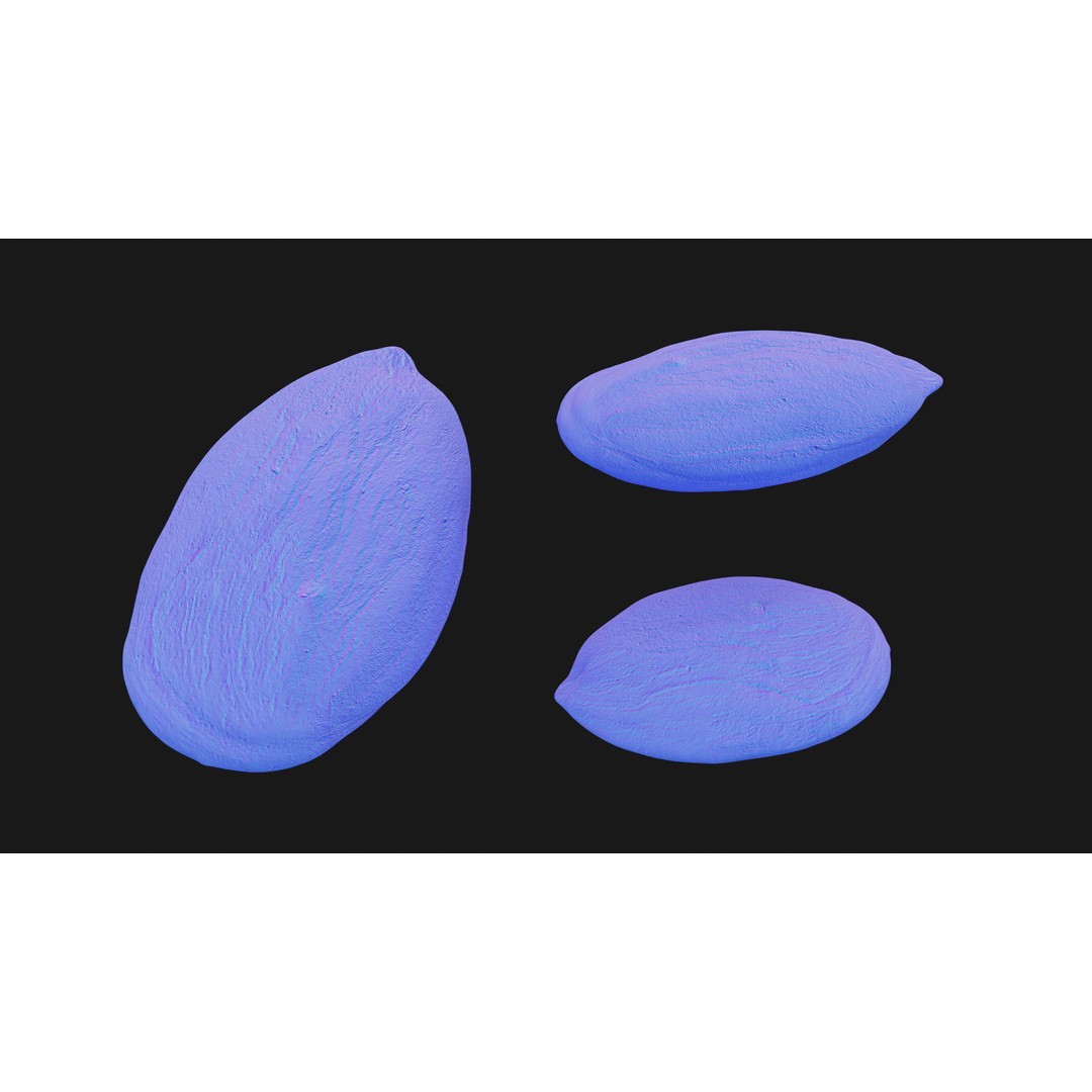 Scanned Almond Nut 3D Model – Low Poly PBR Asset, FBX - View 17
