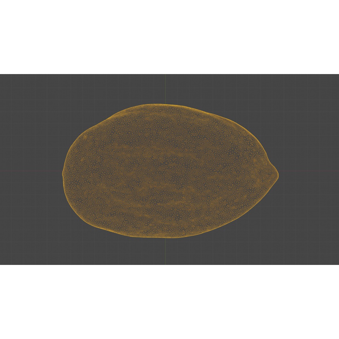 Scanned Almond Nut 3D Model – Low Poly PBR Asset, FBX - View 18