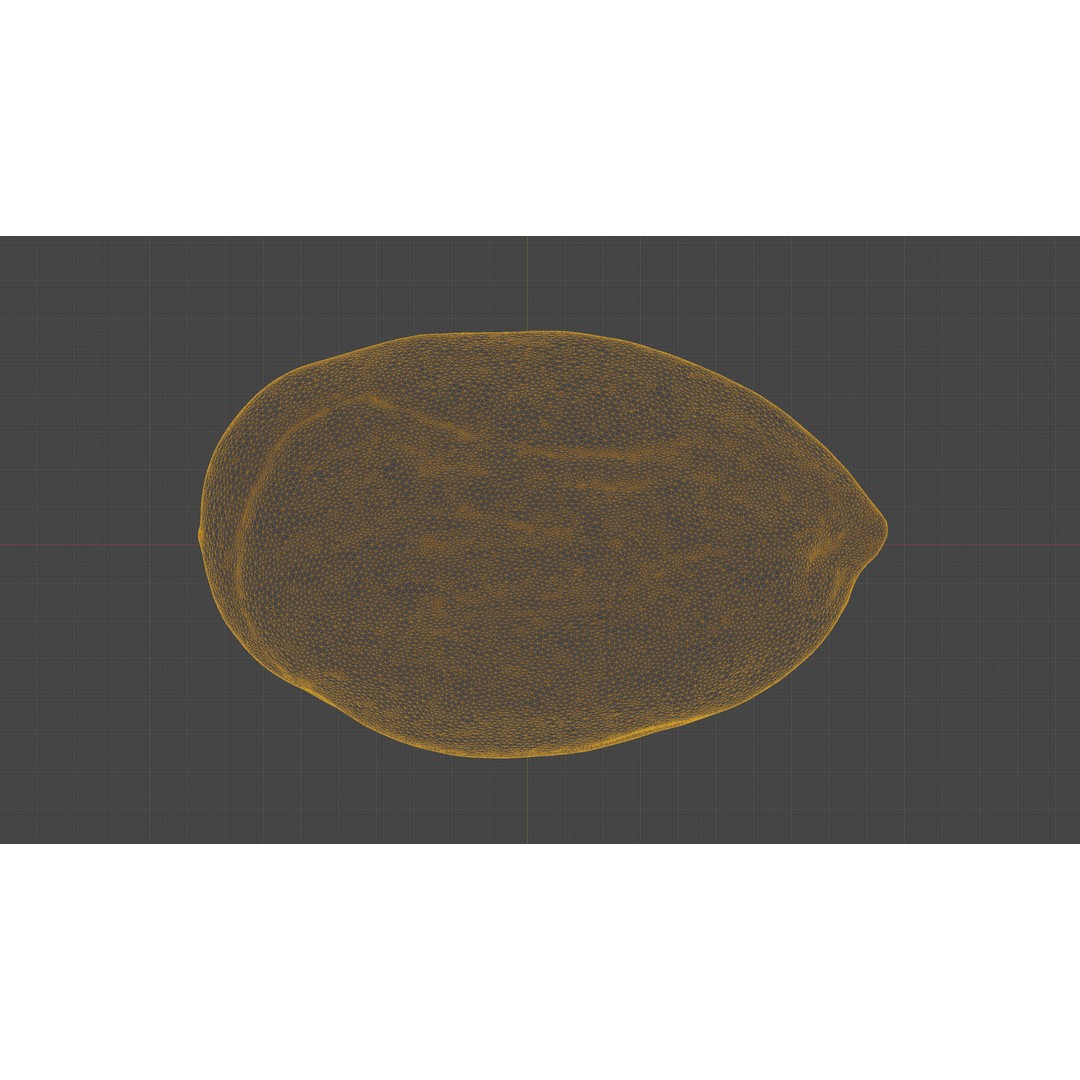 Scanned Almond Nut 3D Model – Low Poly PBR Asset, FBX - View 19