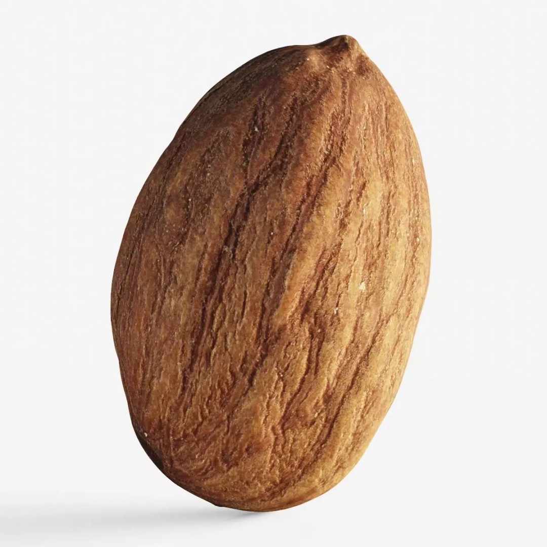 Scanned Almond Nut 3D Model – Low Poly PBR Asset, FBX - View 2
