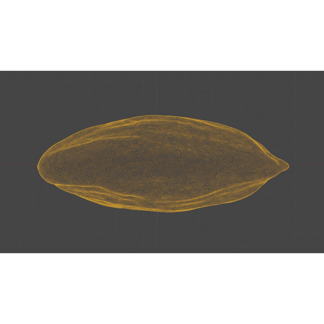 Scanned Almond Nut 3D Model – Low Poly PBR Asset, FBX - View 20