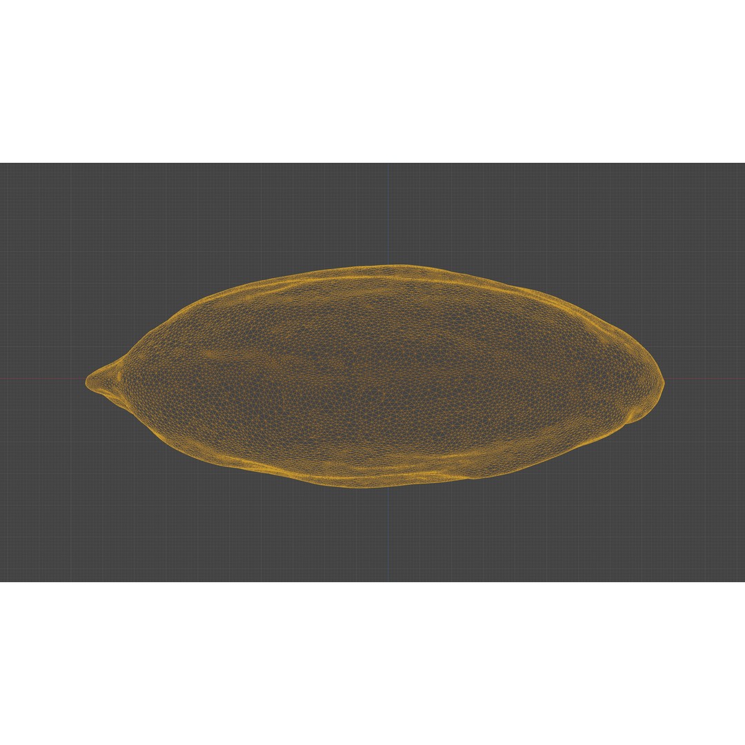 Scanned Almond Nut 3D Model – Low Poly PBR Asset, FBX - View 21