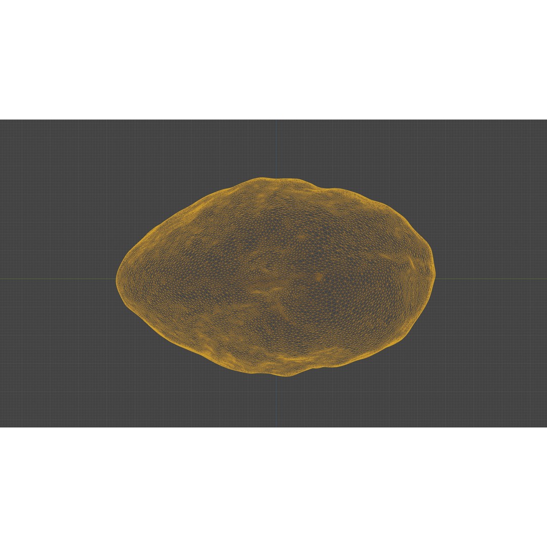 Scanned Almond Nut 3D Model – Low Poly PBR Asset, FBX - View 22
