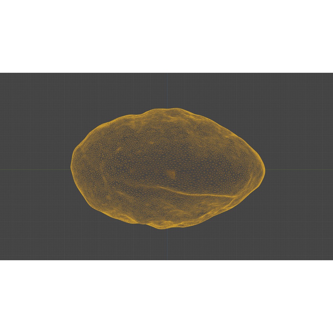 Scanned Almond Nut 3D Model – Low Poly PBR Asset, FBX - View 23